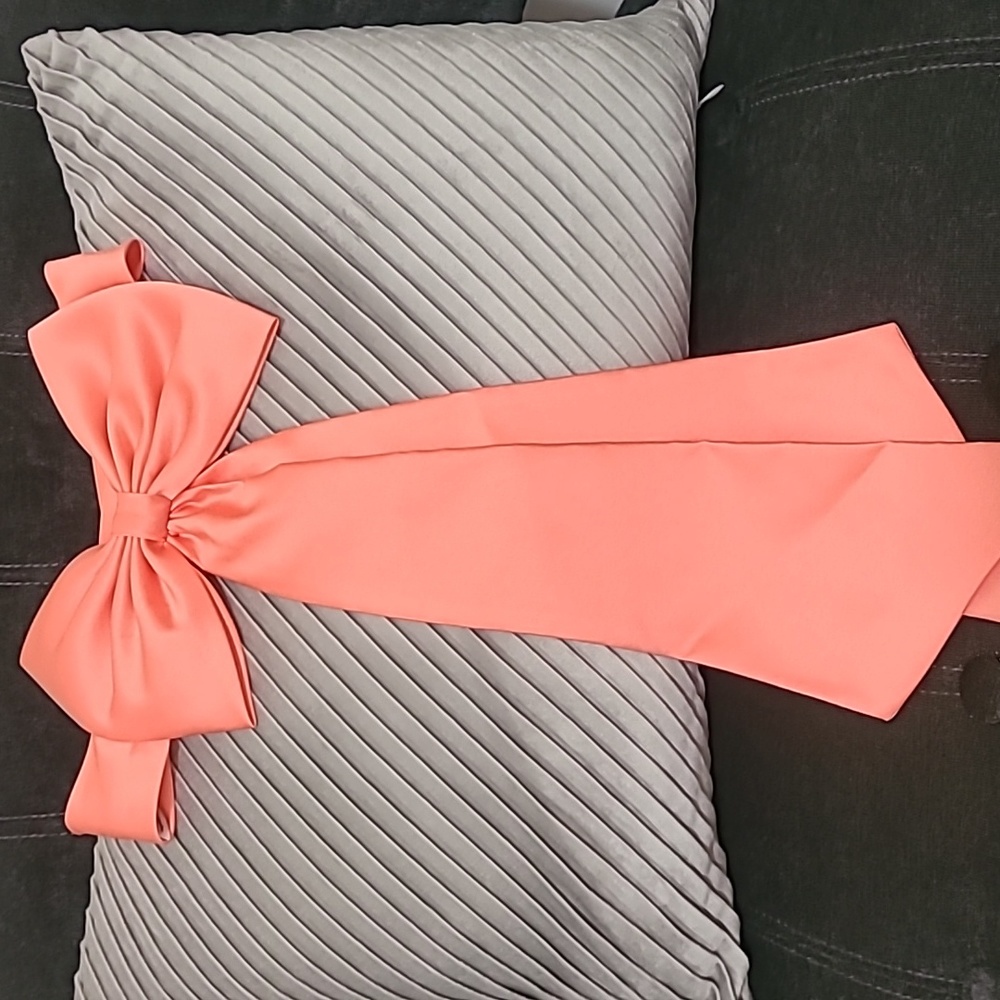 DAVID'S BRIDAL junior girl dress bow